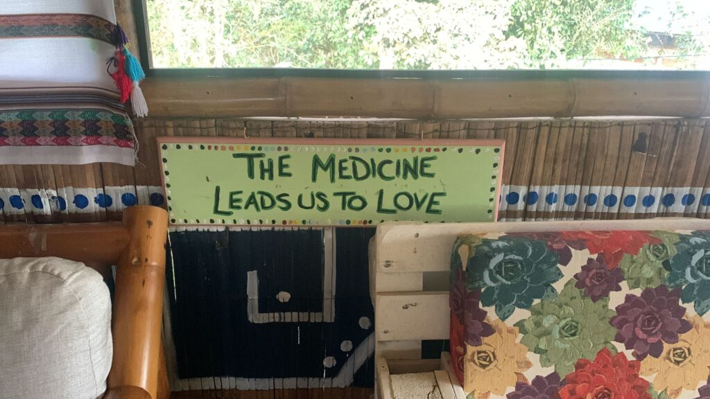 handpainted sign saying the medicine leads us to love